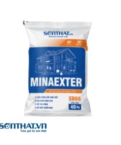 MINAEXTER