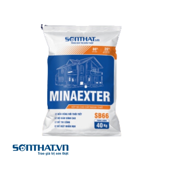 MINAEXTER