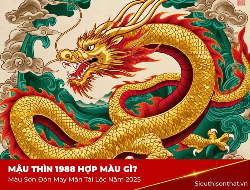 Mậu Thìn 1988 Hợp màu gì